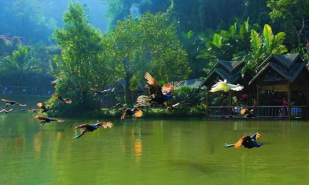 高铁乘务员学技艺