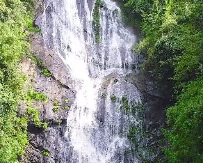 海岛大亨3