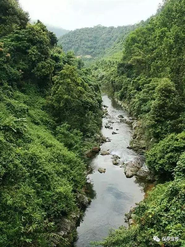 机甲英豪D