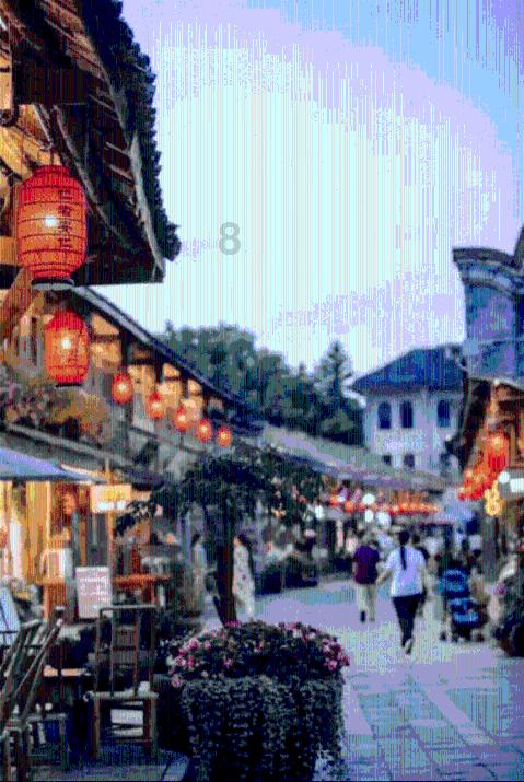小鸡要回家